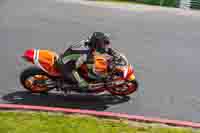 Middle Group Orange Bikes